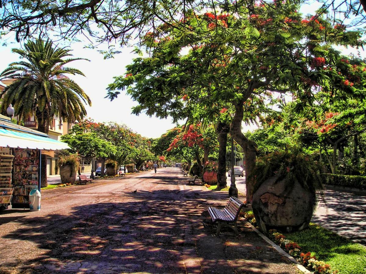 Flores & Campos Guest House Santa Cruz de Tenerife Exterior photo